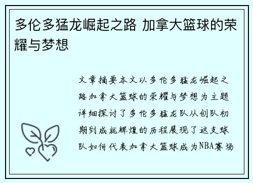 多伦多猛龙崛起之路 加拿大篮球的荣耀与梦想