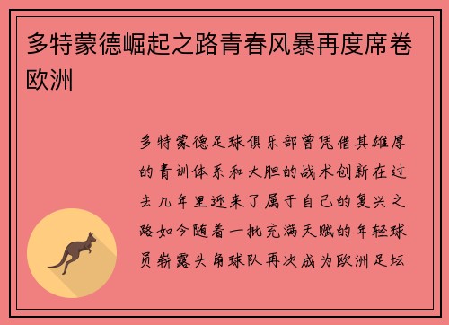 多特蒙德崛起之路青春风暴再度席卷欧洲